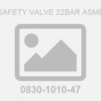 Safety Valve 22Bar Asme